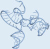 Covid-19-Aptamer